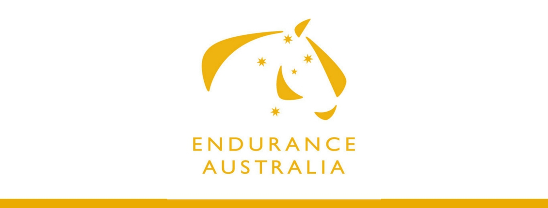 Announcing the team for the 2017 FEI World Endurance Championships for